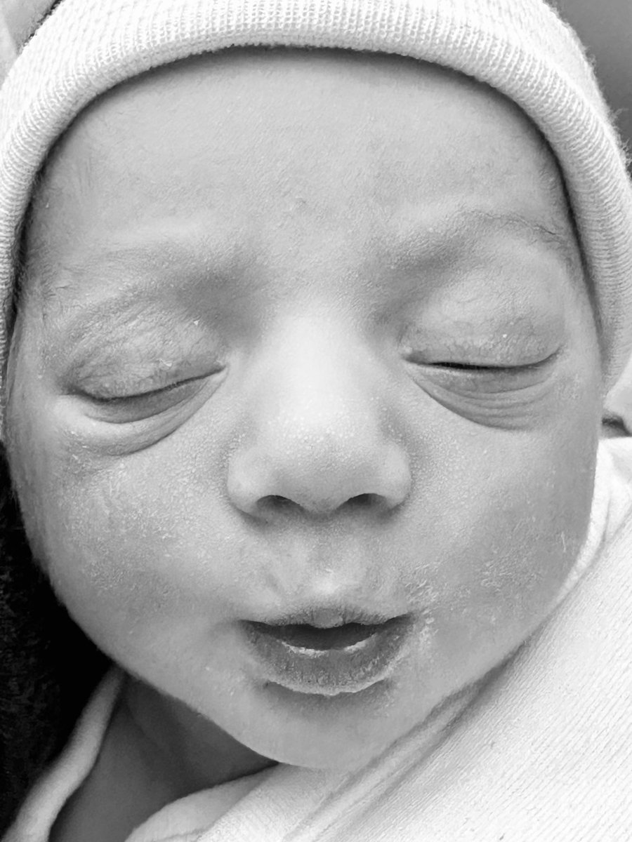 Melissa Lyttle tweet media