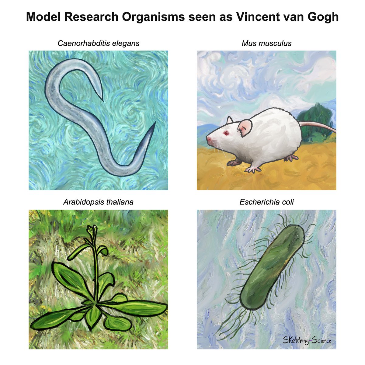 Model research organisms seen as Vincent van Gogh… Which one is your favorite?