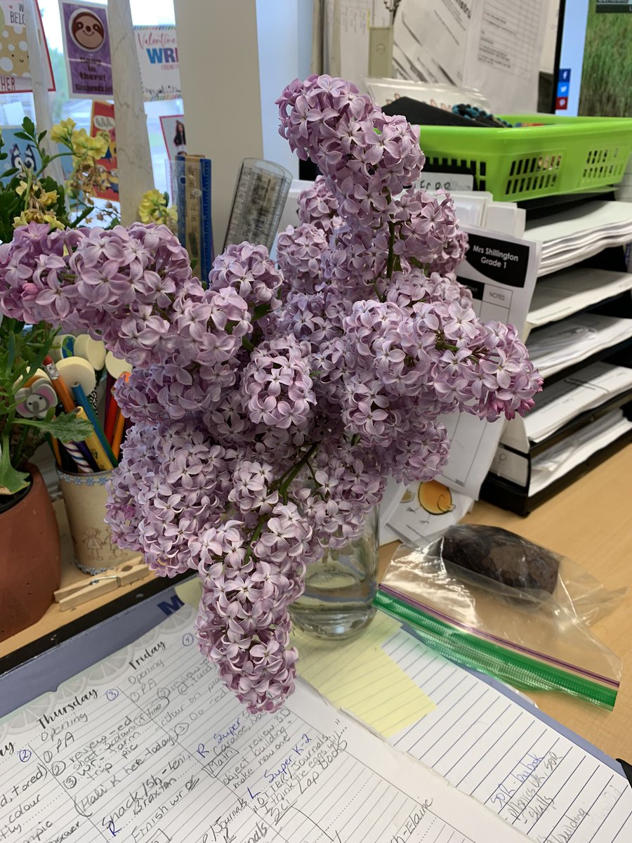 I love being a teacher in the spring!!! <a href="/LindaleSchool/">Lindale School</a> <a href="/PrairieSouth/">Prairie South</a>