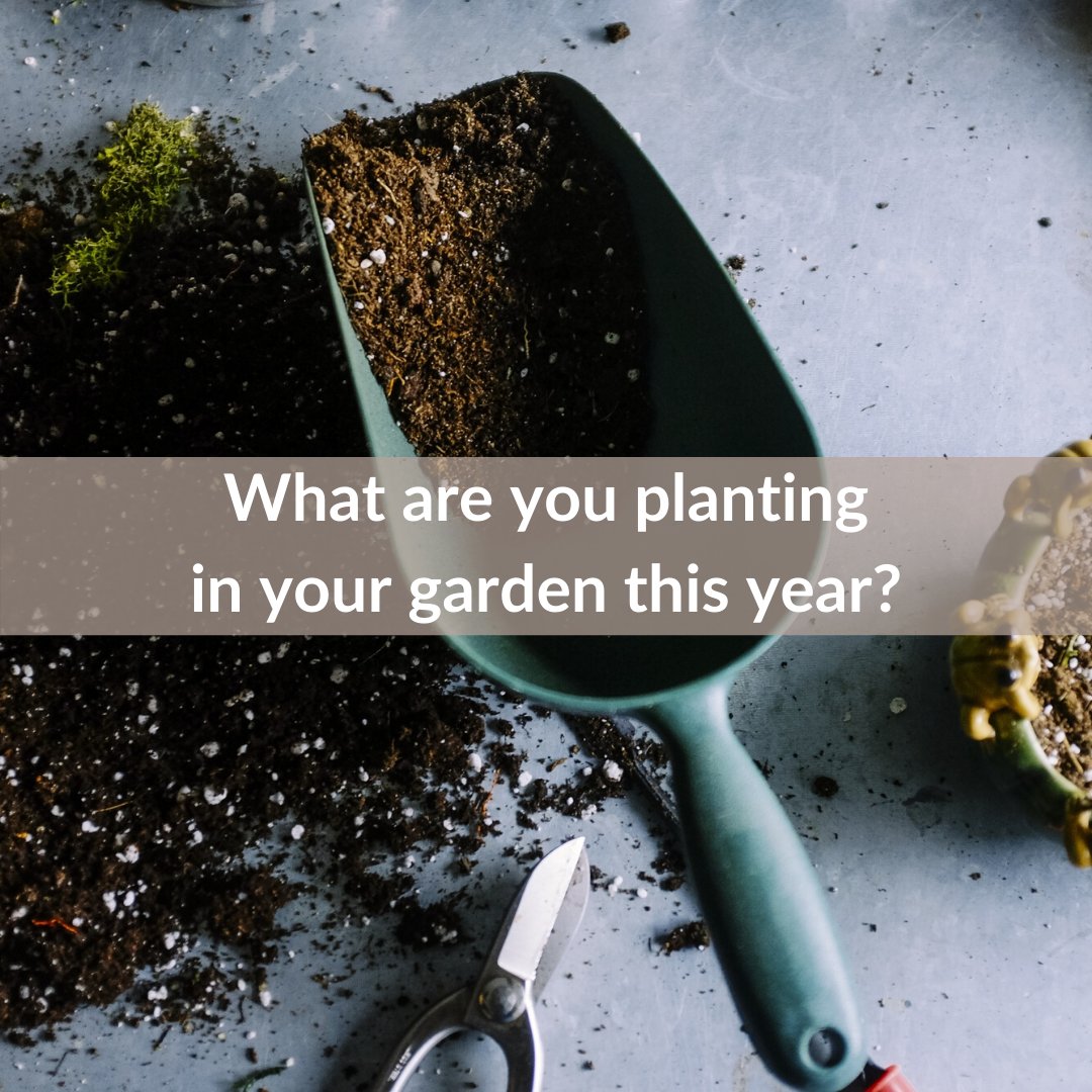 Who has been doing work in the garden lately?

#realestate #vacaville #vacavillerealtor #agentnearme #homesforsale #housebuying #sellersagent #buyersagent #wemakechangehappen #realtor #NutTree #trending #explore # facebook.com/17702426583782…