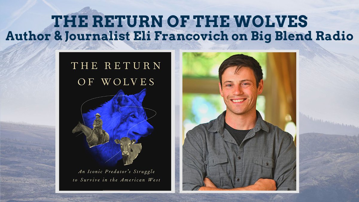 Today on #BigBlendRadio, journalist/author Eli Francovich @elijah_nicholas discusses his new book, 'The Return of Wolves: An Iconic Predator’s Struggle to Survive in the American West' @timberpress 
Watch at 4pm PT or later: youtu.be/ZPvEFUzntzM #graywolf