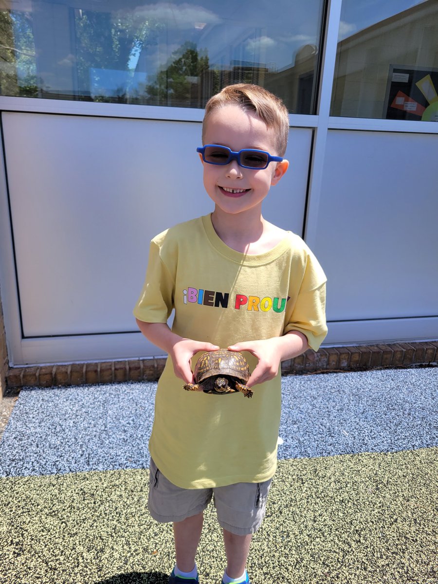 JohnAdamsElem's tweet image. Turtle 🐢 Visiting
#BeEager #EasternBoxTurtle