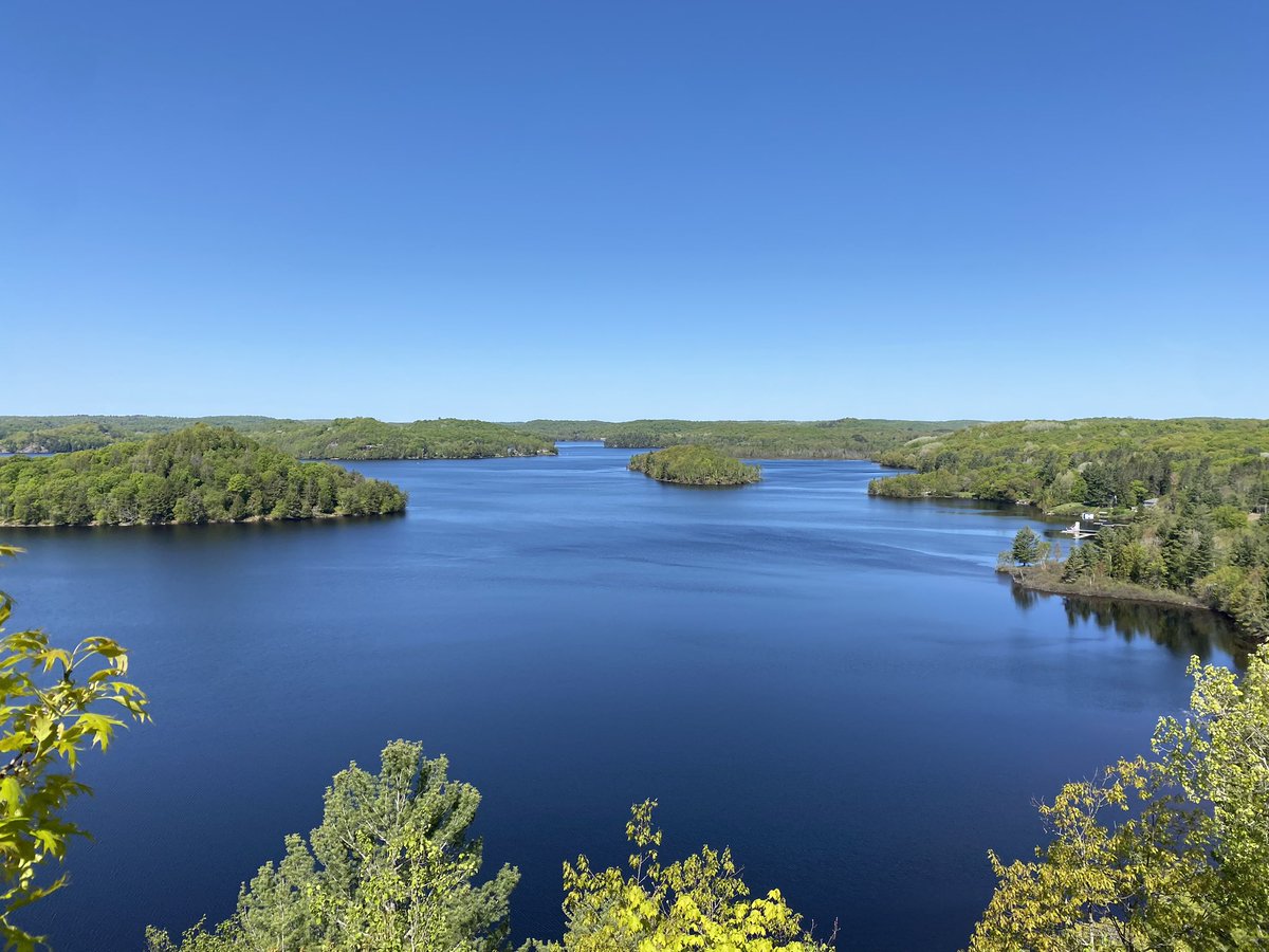 Mr. Lalonde tweet media