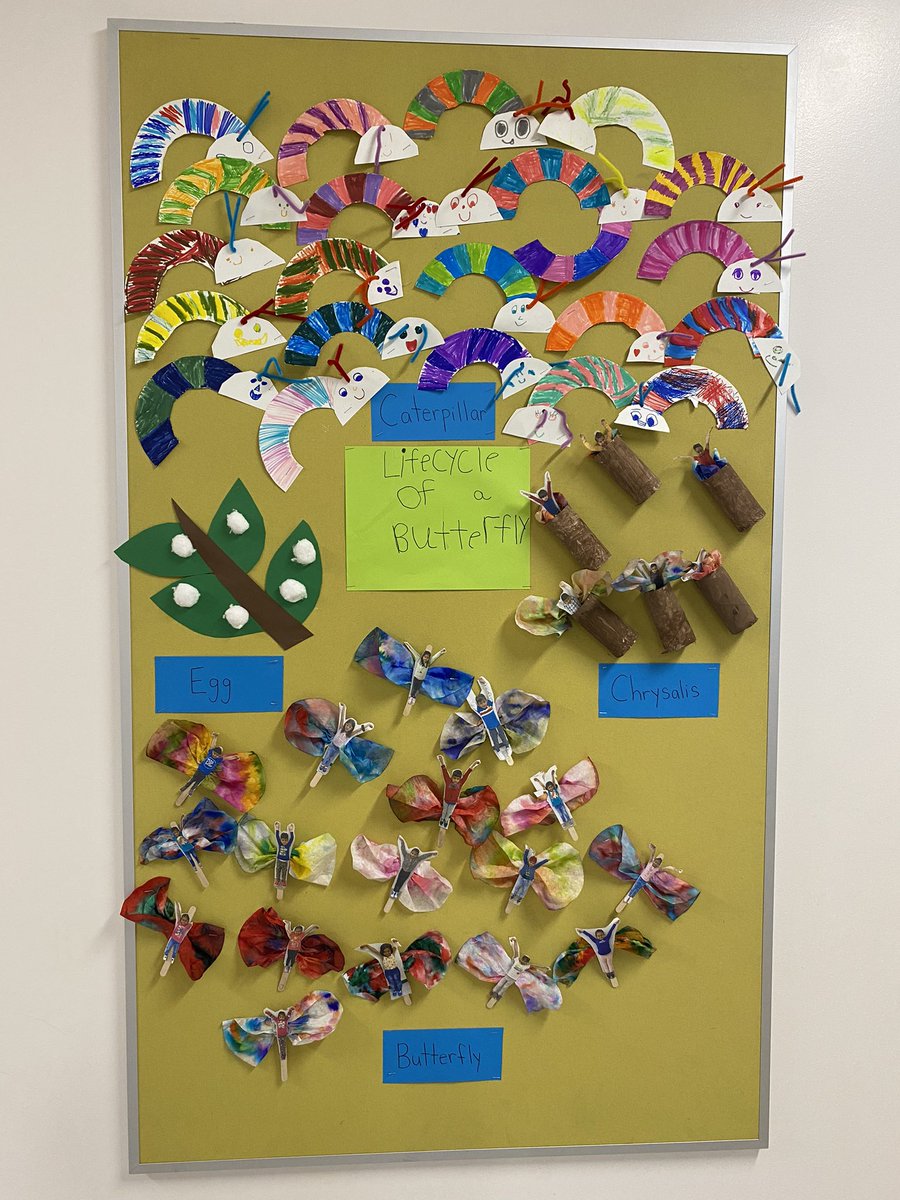 Kindergarten Hugh A. Bennett CBE tweet media