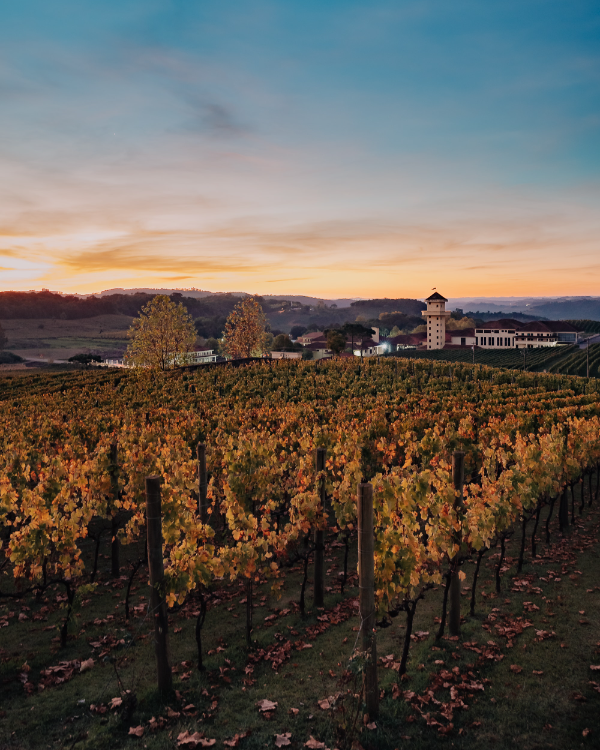 Turismo_Bento's tweet photo. Um belo pôr do sol!🍁
Foto: @carlosferrari.fotografia
👉 #BentoPuraInspiraçao #TurismoBento #cittadelvino #valedosvinhedos #caminhosdepedra #encantosdeeulalia #valedasantas #cantinashistoricas #VisiteBento #Bentolovers #CurtaBento #SerraGaucha @mturismo https://t.co/RAPCWxvMjt