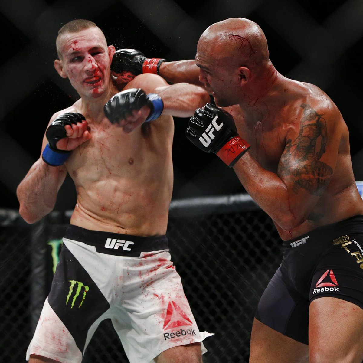 Barstoolziggy's tweet photo. @WonderbreadMMA https://t.co/OnVUbce4Cp