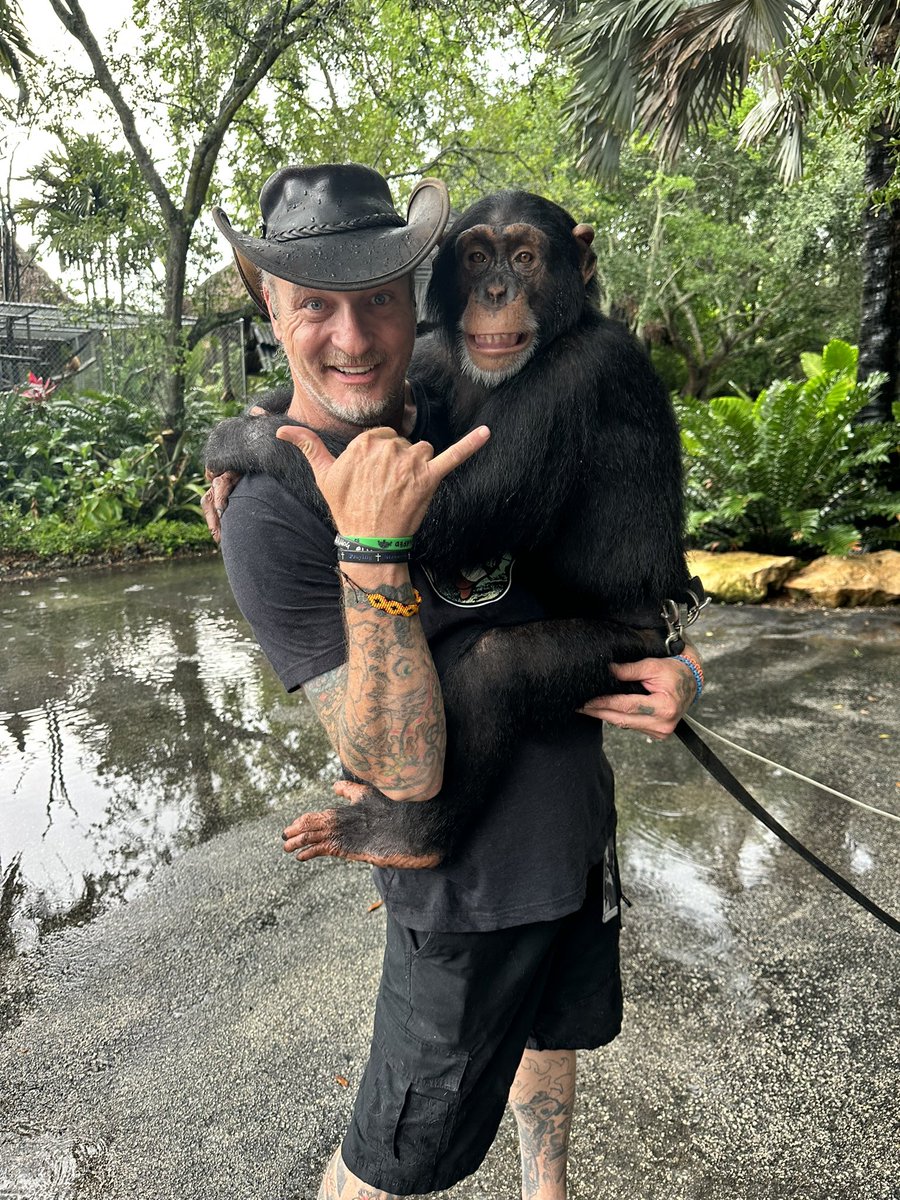 Get Swamped! tweet media