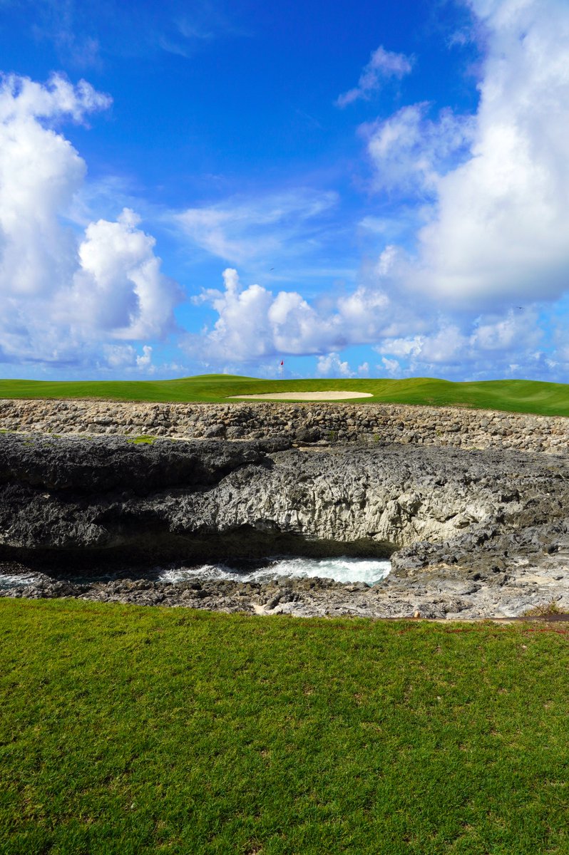AJGAGolf's tweet photo. Alexa, play Paradise by Coldplay...
#DominicanJr https://t.co/g9cLo3WJ5O