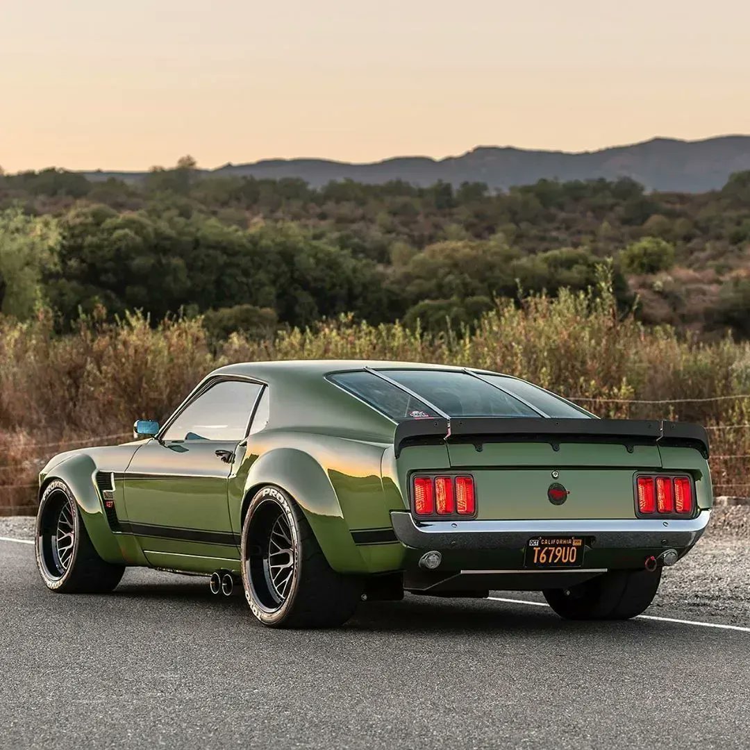Custom Fastback 🥵