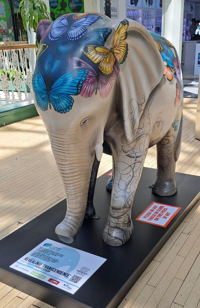 'Elephant in the Room' art project aims to create awareness and raise funds for mental health charities. For details bit.ly/3MY6LRz This elephant created by <a href="/rachelle_regan/">Rachelle O'Regan Artist</a> was spotted in <a href="/stephensgreensc/">Stephen's Green SC</a> #mentalhealth #workplacewellness #elephantintheroom <a href="/JMC_Ireland/">JMC</a>
