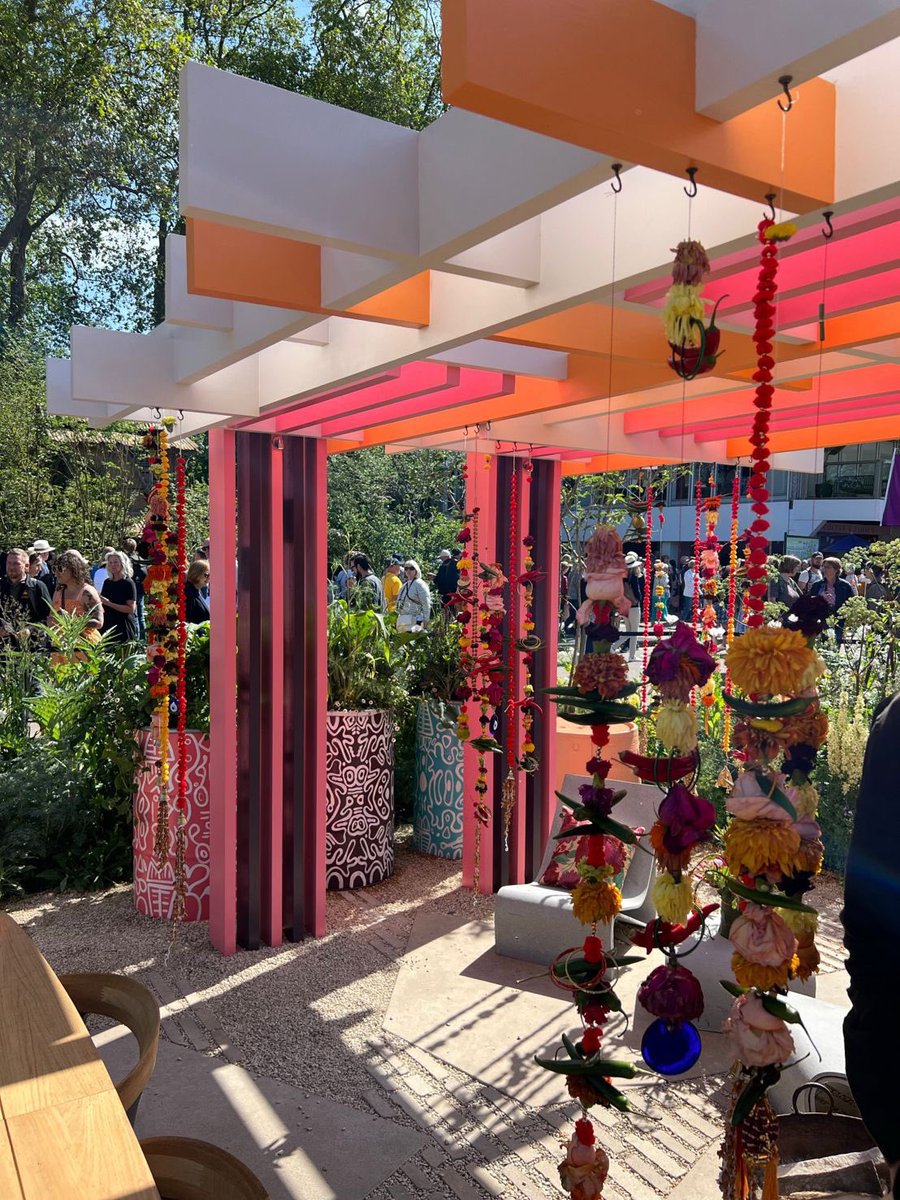 Lisa Todd tweet media