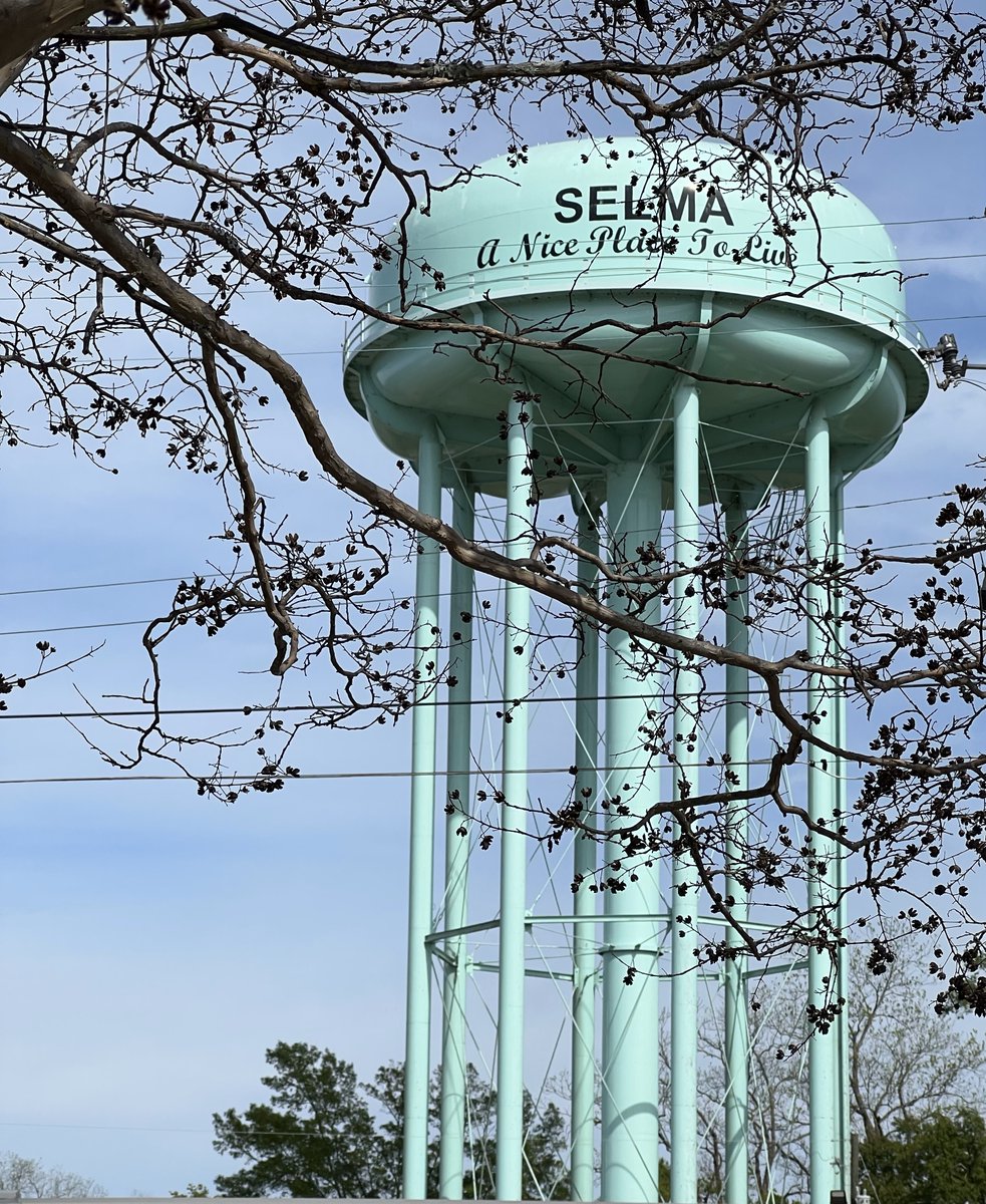 ADVOCATE:
___________________

Every day your local Chamber aims to advocate on behalf of Selma's small businesses and on behalf of our community at-large.  Pouring into the foundation and striving to make SELMA 'A Nice Place to Live'.

#selmaalabama #selmalocal #aniceplacetolive