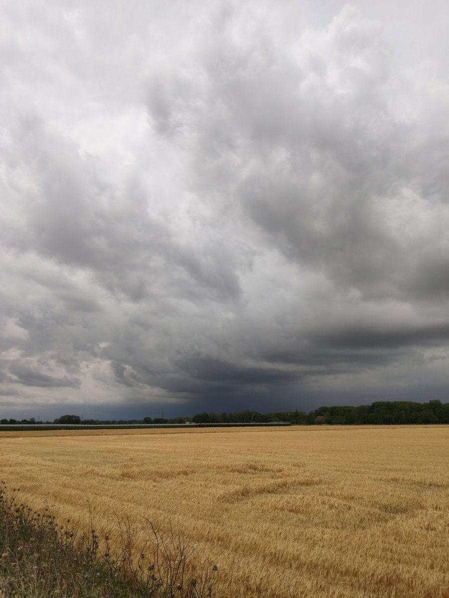 Ahir a l'IRTA Mas Badia buscant les set (centes) diferències entre varietats d'ordi.

Després amb la <a href="/TeiaG2012/">Teia</a> parlant d'eines de gestió, tècniques de cultiu, control d'herbes i plagues, i de per què hem de ser tècnics agrícoles :)

Una mica d'enveja dels camps gironins...