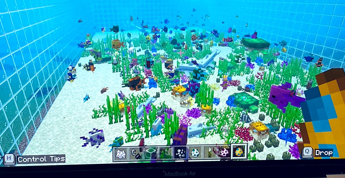 Coding with Minecraft to illustrate biodiversity and the impact of its loss.  So proud of  my students using their creative minds to build! <a href="/josemartimast/">Jose Marti MAST 6-12</a> #MAST2223