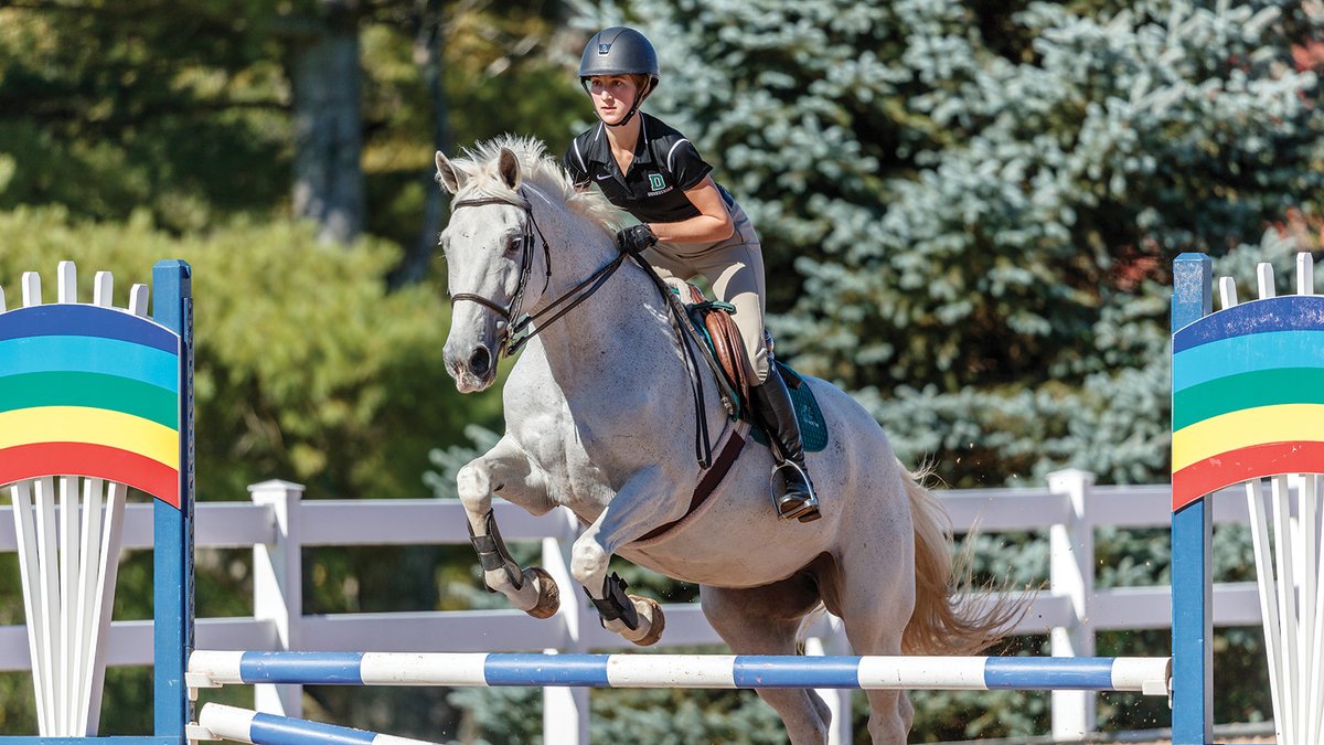HI_mag's tweet photo. How good is your two-point positionβlike, actually? π΄
You can actually test how solid your seat is. Check out this excerpt from @TSBbooks to find out ποΈ https://t.co/cKtZQjwOir
#horseillustrated #equestrian #englishlesson #ridinglesson https://t.co/Af2WK6wxRD