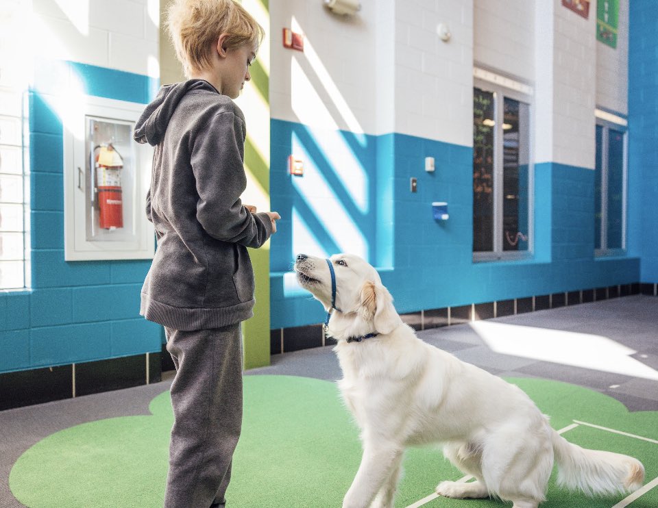 Another school year comes to a close and so proud of <a href="/SSESROCKS/">Robb Hedges</a> students and staff.   We grew our students in so many ways. #proudAP