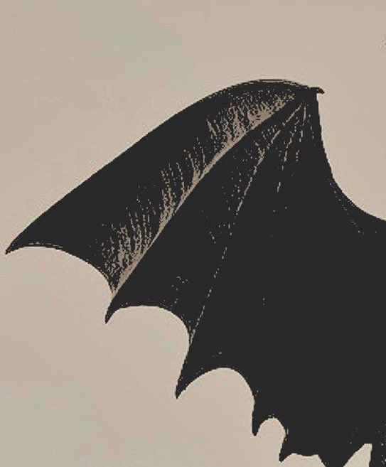 NIGHTHElR's tweet image. 