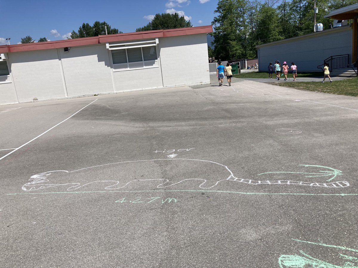 turciosk's tweet photo. Exploring measurement with the book Actual size. @westridgeSD41 @BurnabyOutside https://t.co/QPZyeafwWF