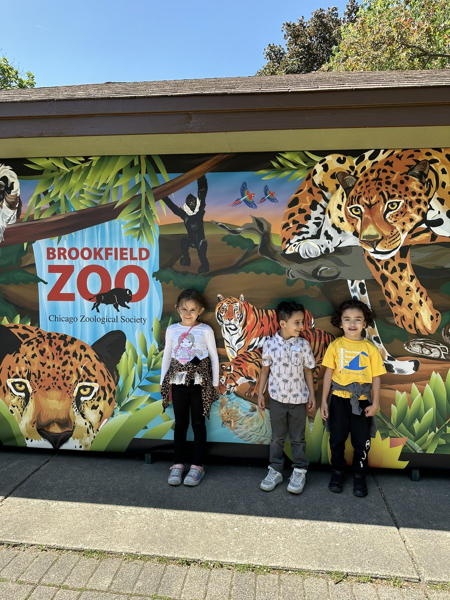 So many animals to see, so little time <a href="/DornNPD117/">Dorn Elementary</a>