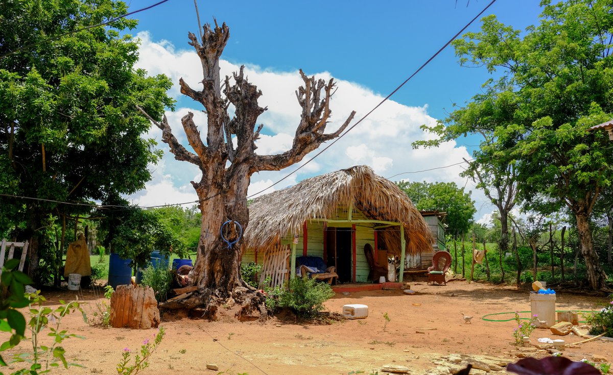 vιc | 🇩🇴 tweet media