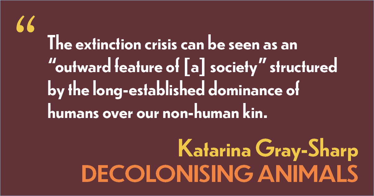 "Decolonising Animals" is a collection of critical interrogations, case studies and creative explorations that examine how colonial structures and practices impact animals. Available now: ow.ly/ZQke50M1JxT #decolonisinganimals #sydneyuniversitypress
