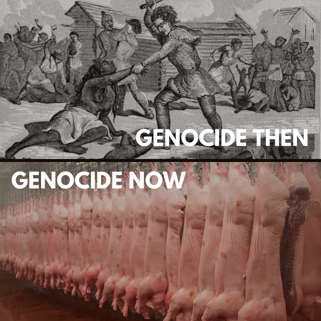 Genocide is happening right in front of our eyes and on our plates. The longer we avert our eyes to remain comfortable and hide from the #truth, the more difficult it will be for humanity to ever achieve peace. Please choose compassion. Please go #vegan 🙏❤️