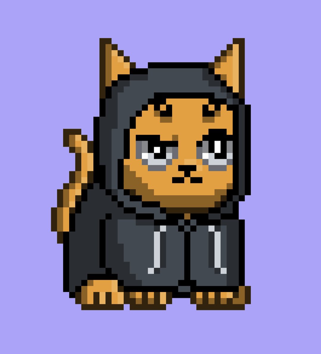 Paul Door tweet media