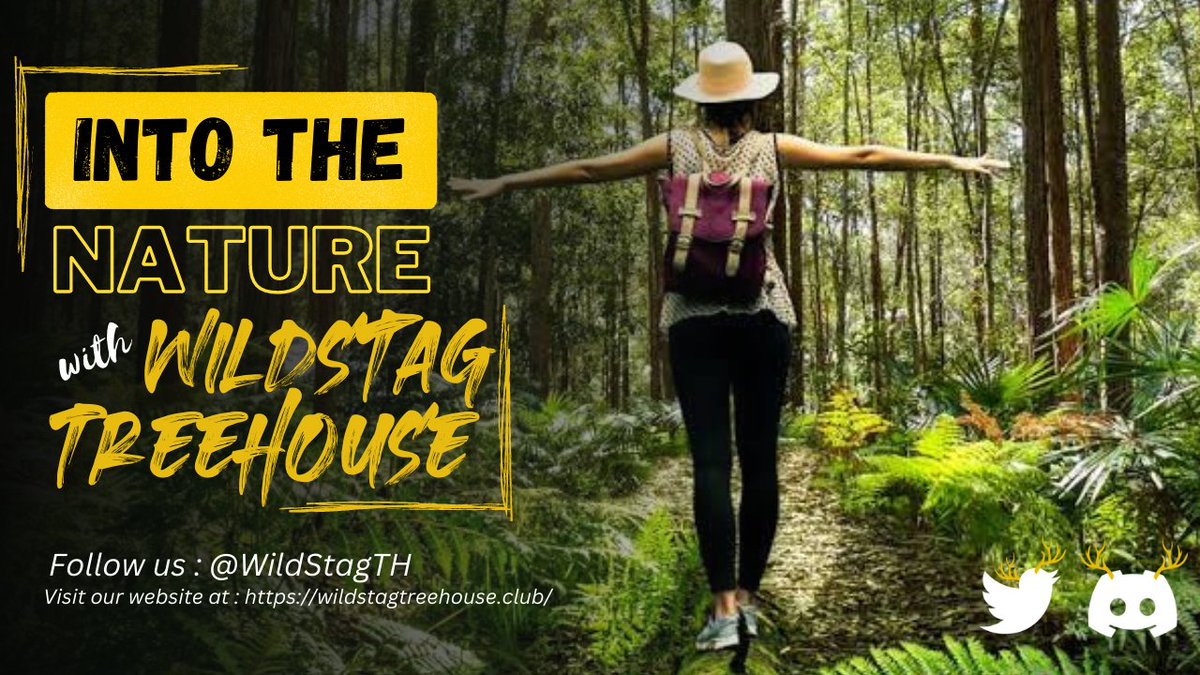 WildStagTH's tweet image. Calling all outdoor enthusiasts! 🏕️🦌 

Join the Wild Stag Treehouse Club &amp;amp; gain access to our exclusive discord community.

Connect with fellow adventurers &amp;amp; share stories and ideas.

Join now: discord.gg/ZZWv37579v 

#XRPCommunity #AdventureCommunity #XRP #XRPL #XRPLCommunity