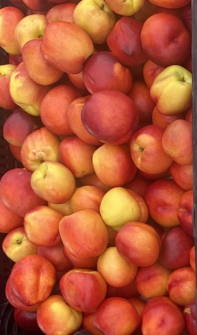 Nectarines are at our stand in this Sundays market. They provide more vitamin A, C, & potassium than peaches do! Get your supply with us soon! #cmcfarlinfamilyfarms #santamonica #atwatervillage #studiocity #nectarines #stonefruit #organic #delicious