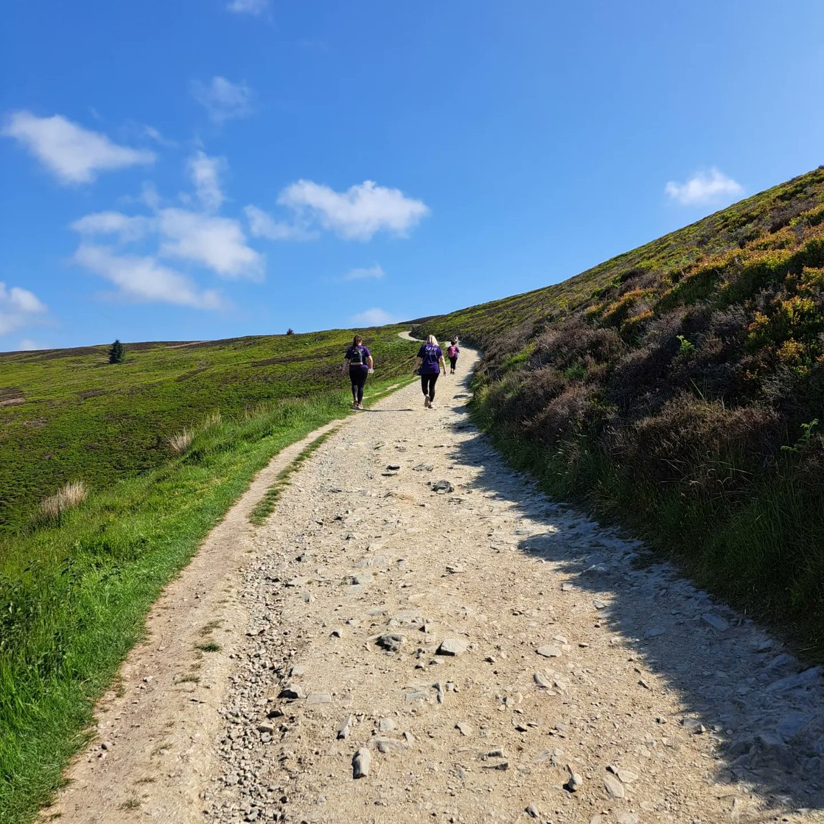 Such a lovely team away day walking up moel famau! 
The whole perinatal team have walked 165 miles each throughout May raising money for <a href="/ActionOnPP/">Action on Postpartum Psychosis</a> 
We have raised over £1000 with still 2 days left of our challenge!