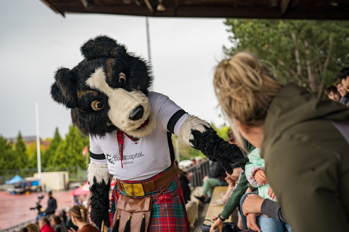 HighlandersFC tweet picture