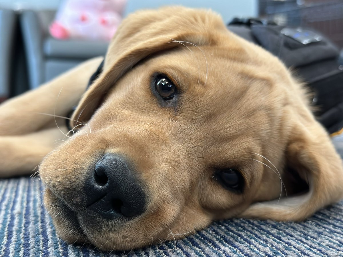 Bourne Police Dept. tweet media