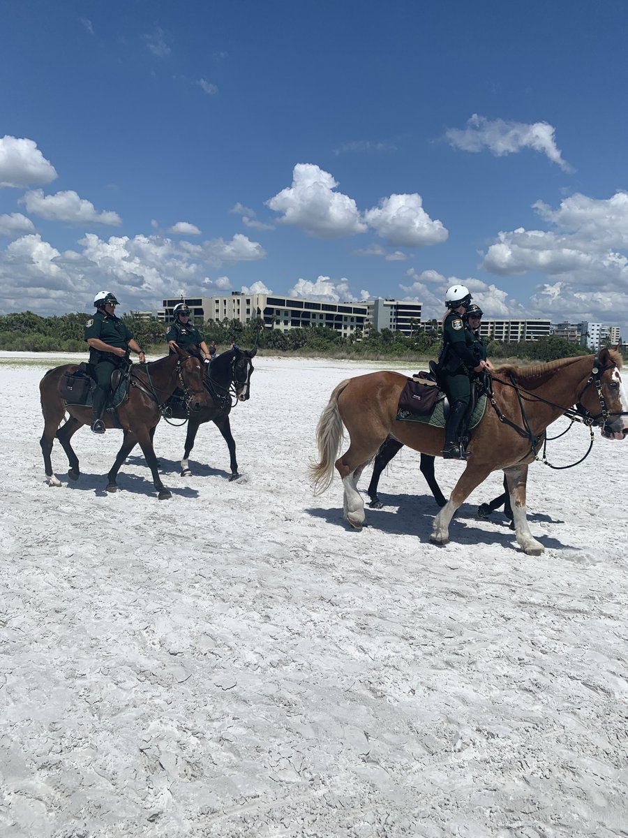 Are you out at #SiestaBeach or heading that way this weekend? Mounted patrol will be there, too. So stay safe, have fun, and say, 'Hi!' 🐎 #memorialdayweekend