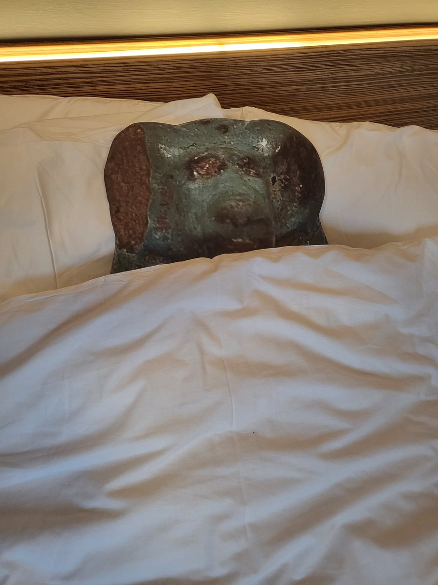 UoBEgyptology's tweet photo. Wow! What a fantastic two days with our Symposium yesterday and hosting the first PGR Panels event today. It's been truly wonderful to meet so many colleagues and share our research and experiences. Our mascot #BabTheBaboon is having an early night to recover!
#BES23 #PGRPanels https://t.co/EEtopqaopq