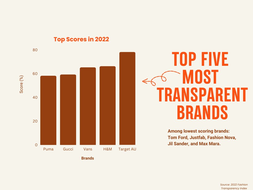 TheCityConU's tweet photo. Did you know that among the top five most transparent brands are Target (AU), H&amp;M, Vans, Gucci and Puma? Learn more: https://t.co/c5Q7jQBdnd
#greenwashing #fashion #sustainablefashion https://t.co/EQNTZxUCzv