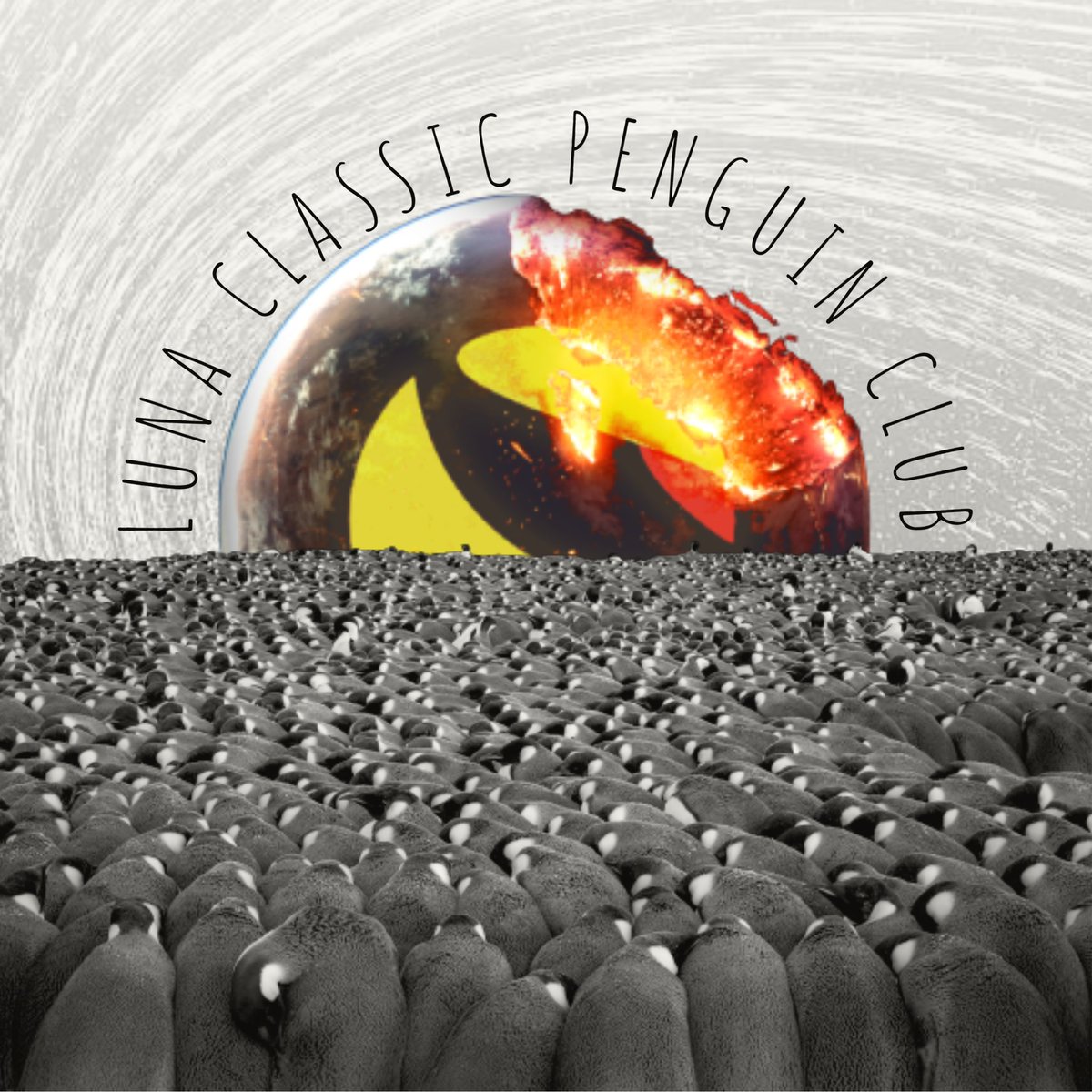 angelz420's tweet image. Not a bad haul finally got my legendary @HappyCatKripto 🐧🐧🐧 #LunaClassic #LunaClassicCommunity #LUNC #LUNCCcommunity #LUNCpenguins #InHappyWeTrust #NFT #NFTCollection #NFTCommunity #UtilityNFT #LuncCacti