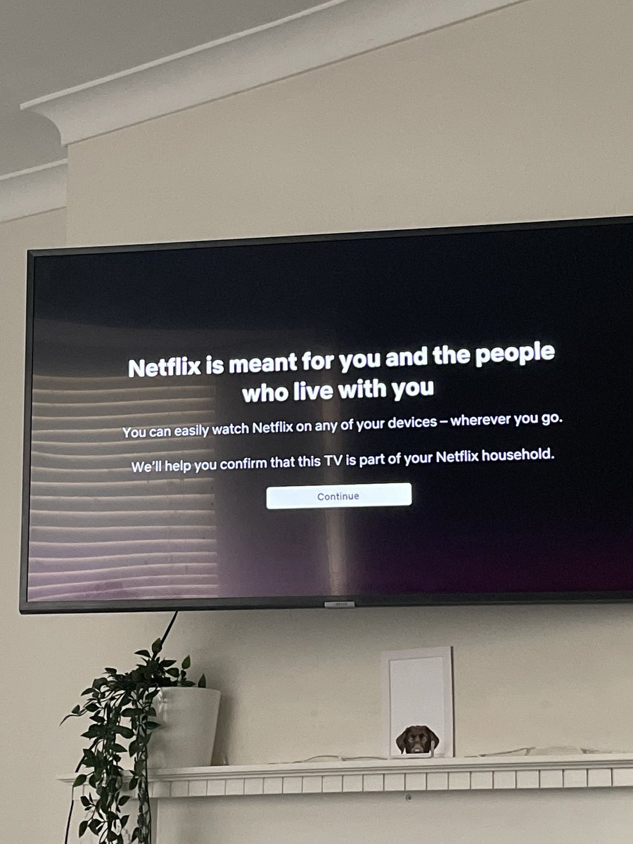 abbiechapmann's tweet photo. @NetflixUK what is this madness please? Can you not just let me continue to sponge off my parents in peace? 
P.S Nice net worth by the way… https://t.co/pIHE544YEf