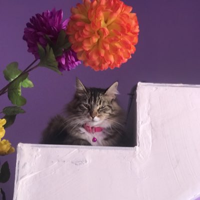 Melisa03975's tweet photo. #YeniProfilResmi https://t.co/3DIlK095Tv