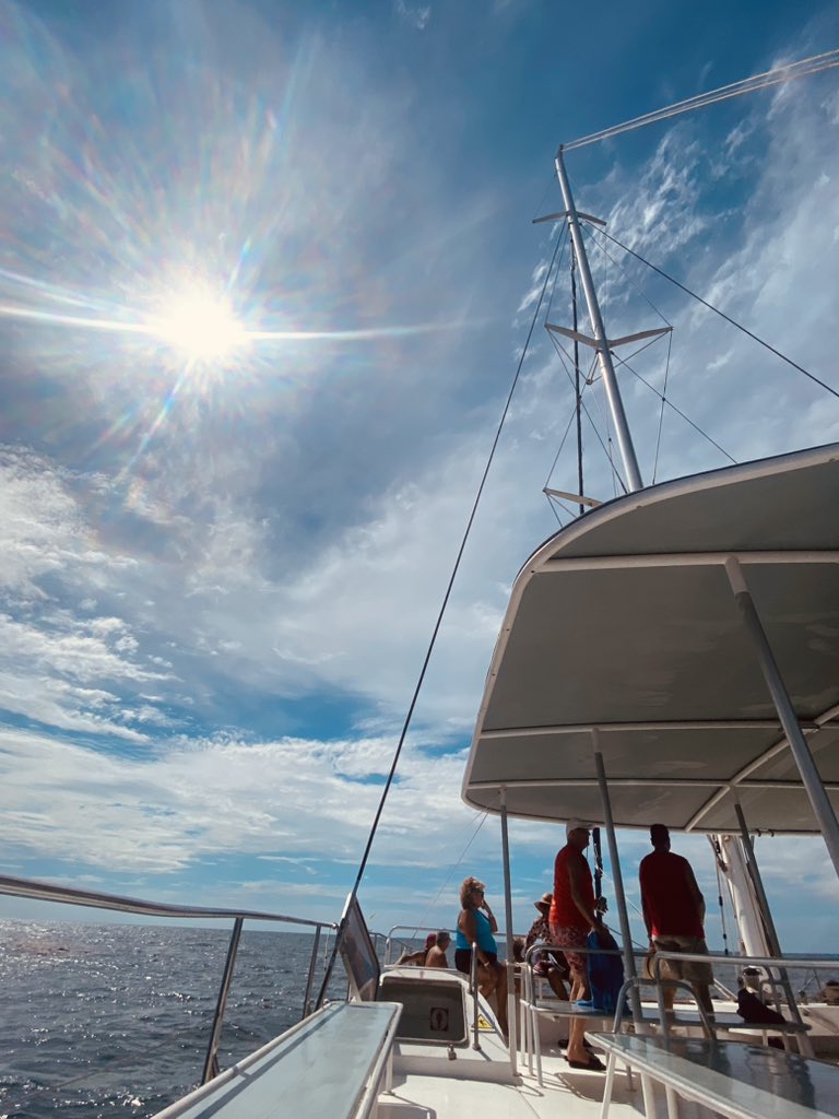 HBrGuardalavaca's tweet photo. Join us on a #CatamaranTrip and experience the beauty of the Caribbean Sea like never before. To our #ReturningGuests, thank you for keep on choosing Brisas Guardalavaca as your holidays destination. We are thrilled to have you on board one more time! #Marlin
#BrisasGuardalavaca https://t.co/TNEZSlPCkc