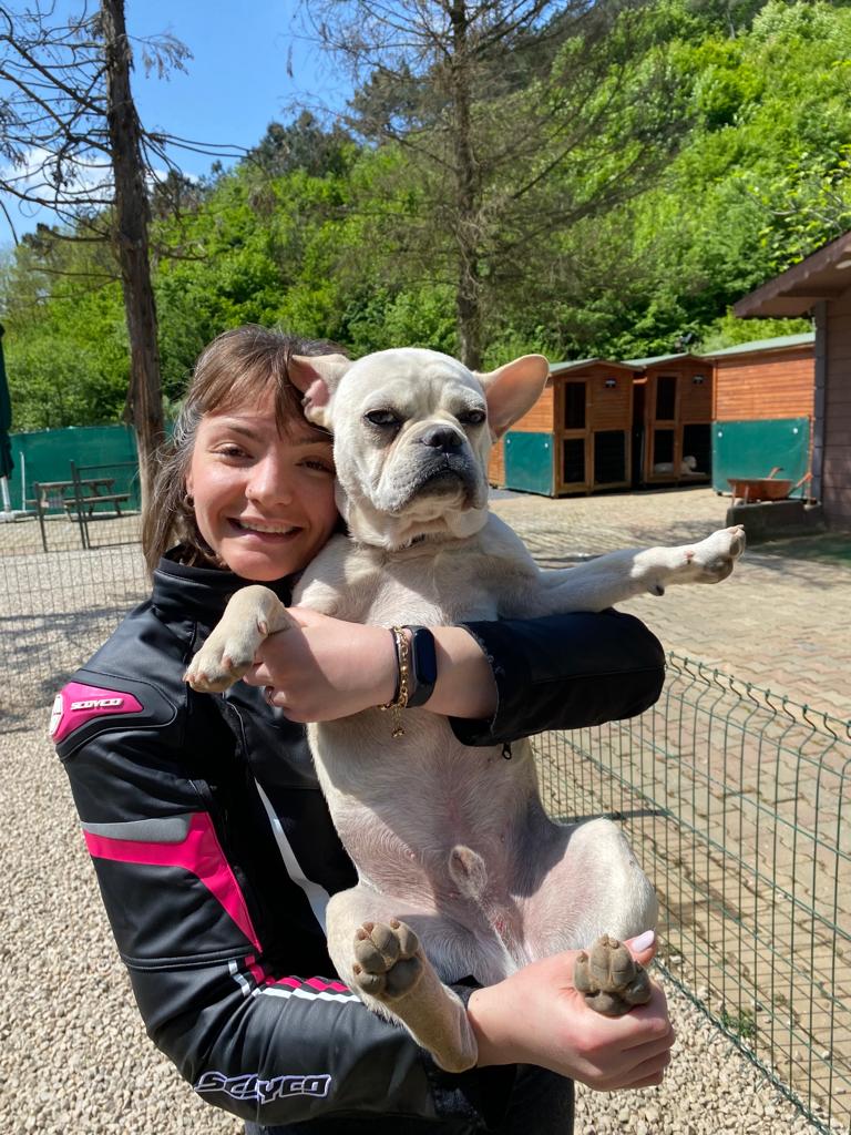 topcuogluselin's tweet photo. 1 mayıs sahabı temel itaat eğitimi için Royal Dog Club'a teslim ettiğim güzel oğlumun 25 Mayıs sabahı parvovirüs teşhisi ile ölüm haberini aldım. Güzel oğlum bu merkezde yakalandığı hastalık sonucu melek oldu. Hala bu merkezde eğitimi devam eden onlarca can var..
 #royaldogclub https://t.co/R3doJQSJ1n