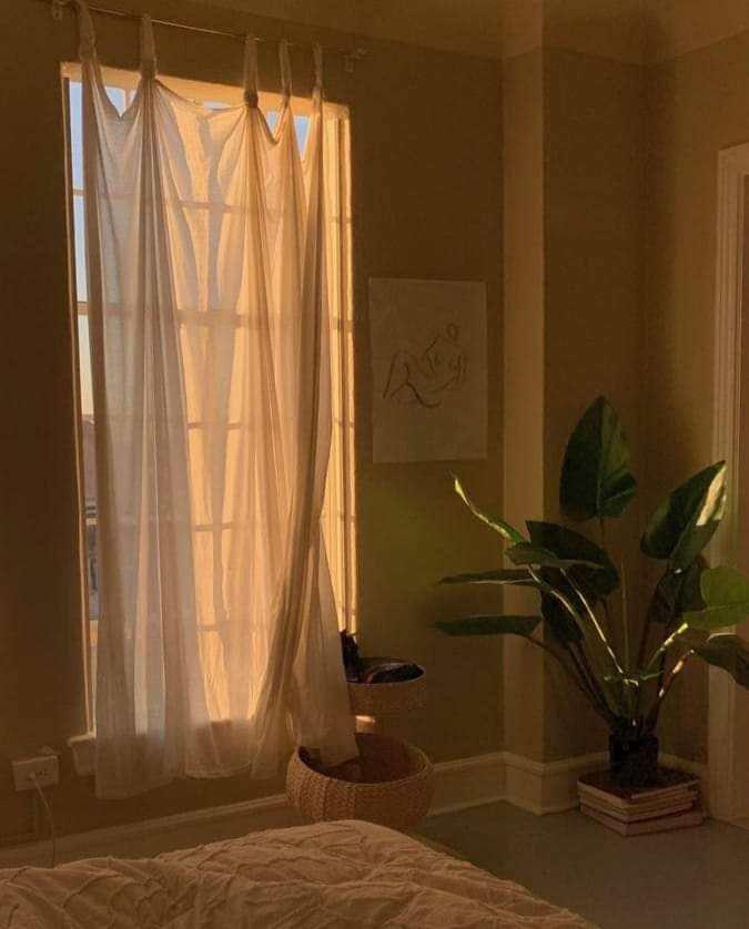 يوماً ما سيحل الصباح بي وأنا على الحال الذي طالما تمنيت، في فترةٍ ما، لن تشرق الشمس إلا وشروق القلب يسبقها🤍🕊