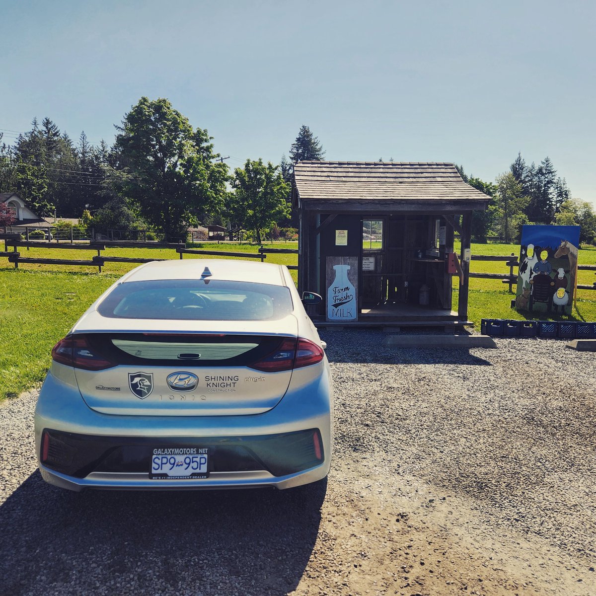 shiningknightco's tweet photo. Breakfast networking meeting this morning in Victoria with some local Breakthrough Academy members was a great opportunity to chat with and learn from some other business owners! It also means a stop at my favorite farm stand @cowichanmilk for some fresh local milk! Happy Friday! https://t.co/1f8uKXKZtr