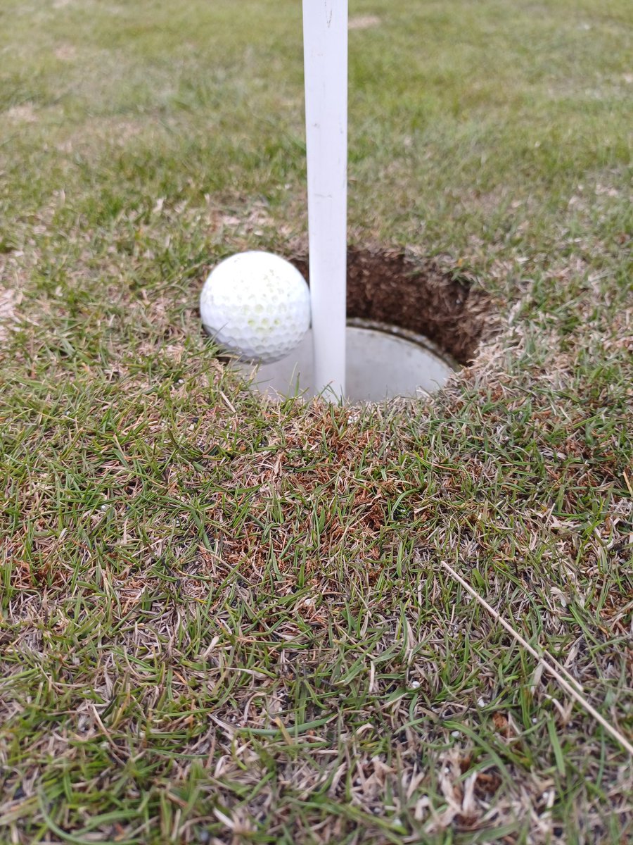 Stefán Arason tweet media