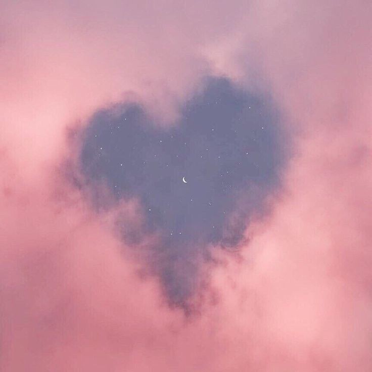 ɴɪɢʜᴛꜱꜱ ִֶָ࣪☾. tweet media