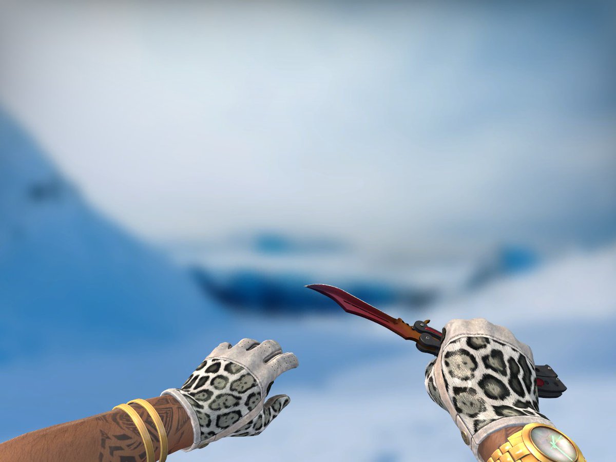 Radiant on Twitter "Just picked up these Snow Leopard gloves in FN