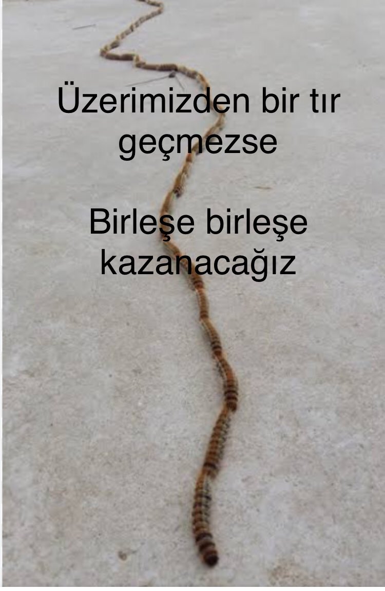 Nizami1960's tweet photo. @meral_aksener https://t.co/SIwSLKu4Ke