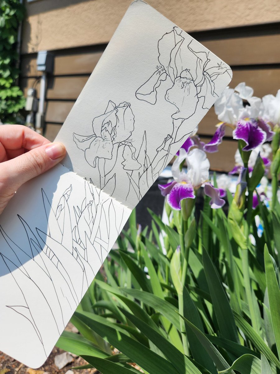 I like spending time with the blooms that only come once a year, with the smell of them, the sound of bees, hot hard cement and curled back urging me to hurry, hurry. Here they are, soon they'll be gone. Like you and me. But here they are! Now, now, now.