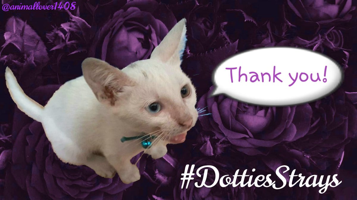 AVGυcкy tweet media