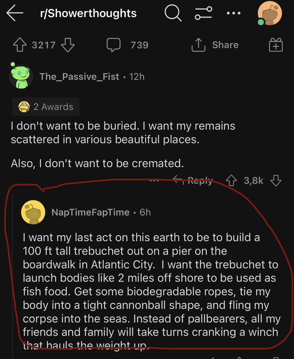 Alvöru sturtugsun (e. Shower thought). Djúp og valid pæling sem ég væri alveg til í að prufa eftir dauðann.