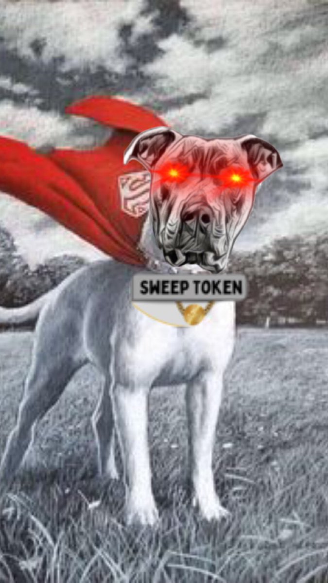 BabyDogeAurora's tweet photo. I’m here to fight for truth and justice in the Sweep way 😀
#sweep #sweeptoken #SWEEPNFTS #babysweep #sweeparmy #sweepproject #bsc #memecoin https://t.co/2Hf9qyinsF